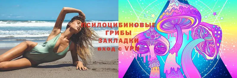 Псилоцибиновые грибы Cubensis  Новоаннинский 